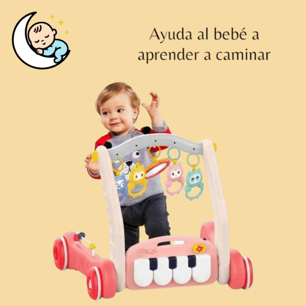 Gimnasio y caminador - Image 3
